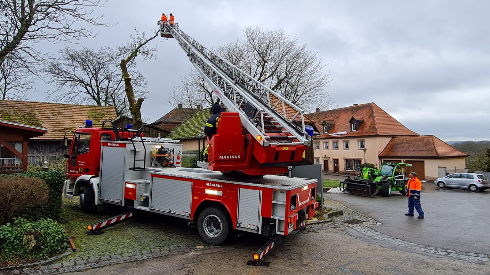 Baumrückschnitt in Bartenstein Bartenstein